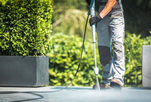 Best Roof Washing  in Edgewood, TX
