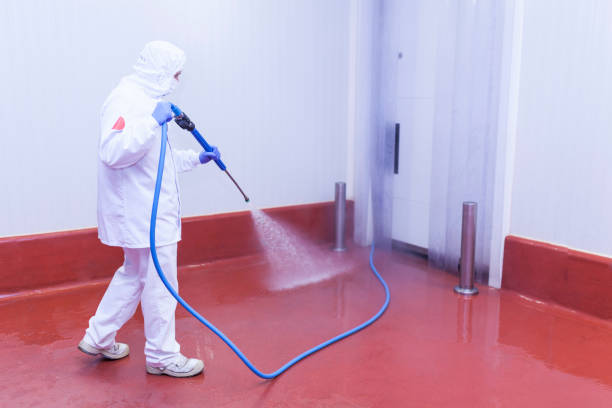 Boat and Dock Cleaning in Edgewood, TX